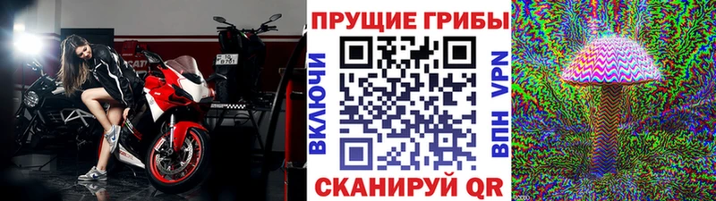 Псилоцибиновые грибы GOLDEN TEACHER  Лабытнанги 